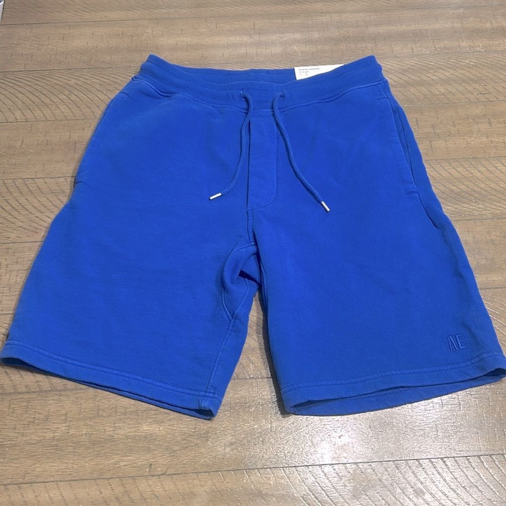 American Eagle Outfitters Blue Men's Shorts